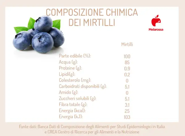 Composizione chimica dei mirtilli: 25 kcal per 100g. Dati nutrizionali completi.